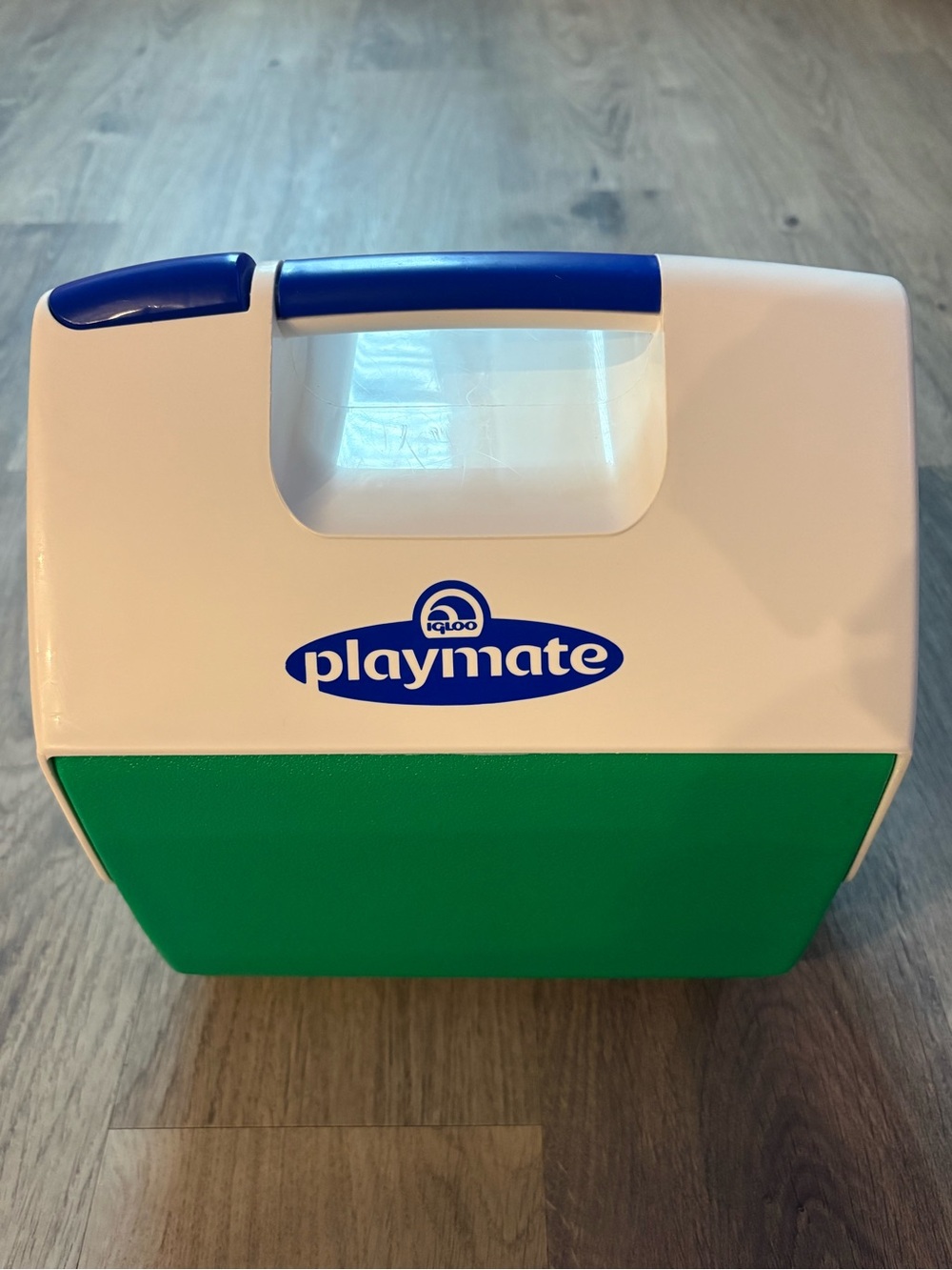 Vtg Igloo Playmate Pal Cooler Shamrock Green Royal Blue 7 Qt Push Button